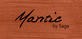 mantic-guitars-bangalore-aruna-musicals