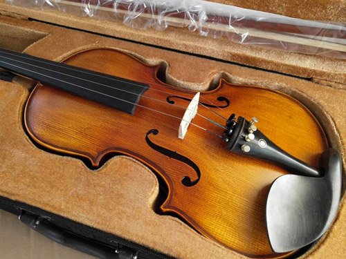 Best Shop to Buy Violin in Bangalore
