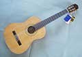 Mantic-guitar-dealers-bangalore