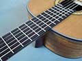 Mantic-guitar-dealers-bangalore