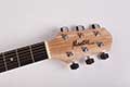 Mantic-guitar-dealers-bangalore