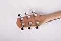 Mantic-guitar-dealers-bangalore
