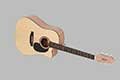 Mantic-guitar-dealers-bangalore