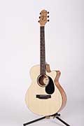 Mantic-guitar-dealers-bangalore