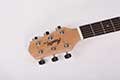 Mantic-guitar-dealers-bangalore