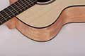 Mantic-guitar-dealers-bangalore
