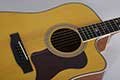 Mantic-guitar-dealers-bangalore