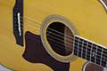 Mantic-guitar-dealers-bangalore