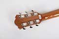 Mantic-guitar-dealers-bangalore