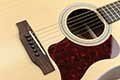 Mantic-guitar-dealers-bangalore