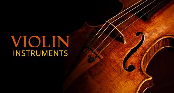 Violin musical instrument store bangalore arunamusicals