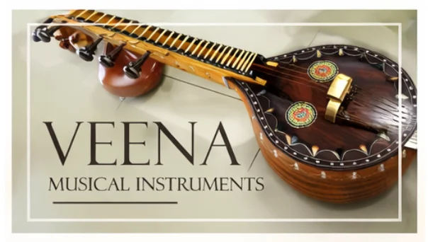 Veena in store